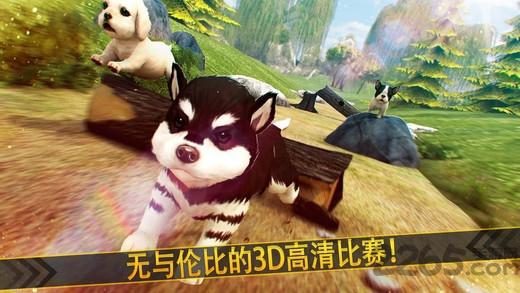 我的梦想宠物小狗下载,我的梦想宠物小狗,模拟游戏,养成游戏,宠物游戏
